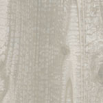 CW-1961 Light Charred Wood